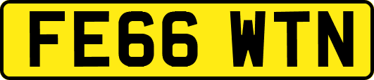 FE66WTN