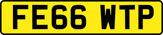FE66WTP