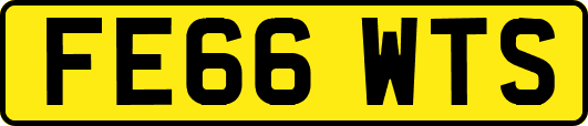 FE66WTS