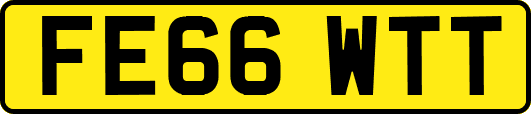 FE66WTT