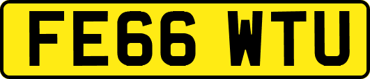 FE66WTU