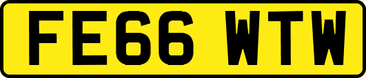 FE66WTW