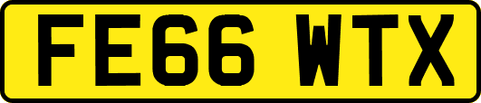 FE66WTX