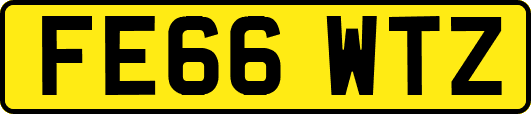 FE66WTZ
