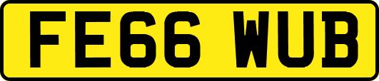 FE66WUB