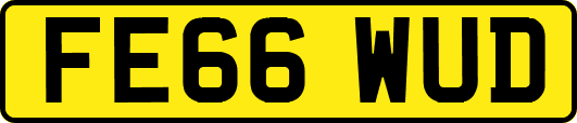 FE66WUD