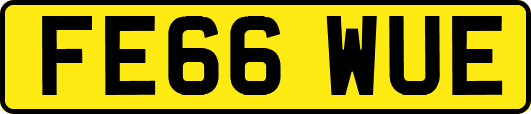FE66WUE