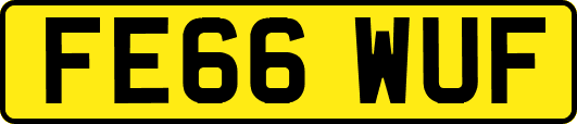 FE66WUF
