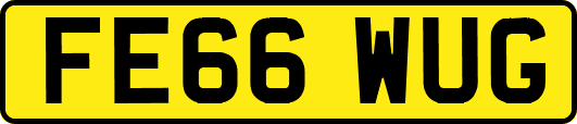 FE66WUG