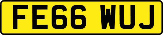 FE66WUJ