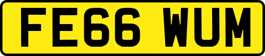 FE66WUM