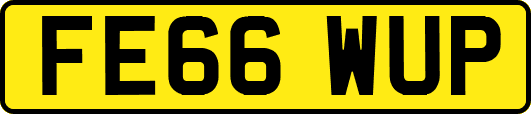 FE66WUP