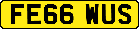 FE66WUS