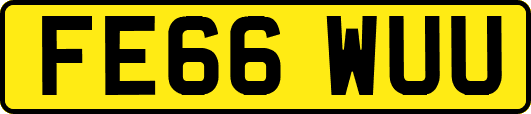 FE66WUU