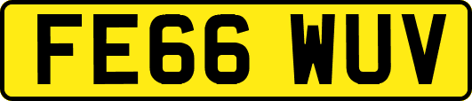 FE66WUV