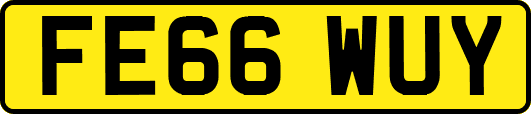 FE66WUY