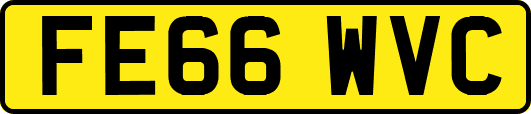 FE66WVC