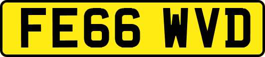 FE66WVD