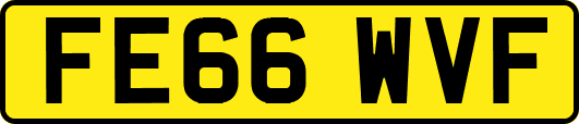 FE66WVF