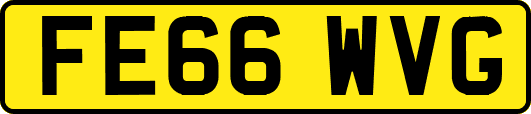 FE66WVG