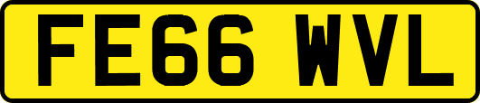 FE66WVL