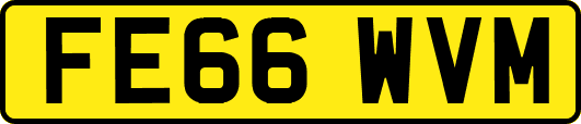 FE66WVM