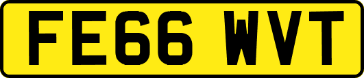 FE66WVT