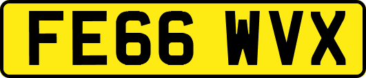 FE66WVX