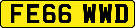 FE66WWD