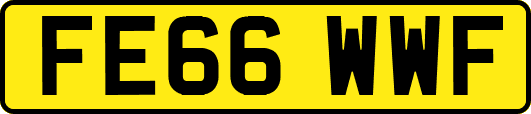 FE66WWF