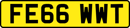 FE66WWT