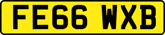 FE66WXB