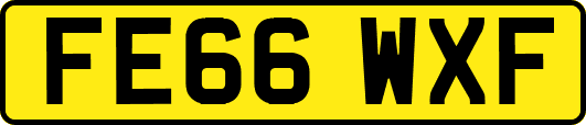 FE66WXF
