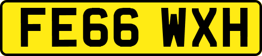 FE66WXH