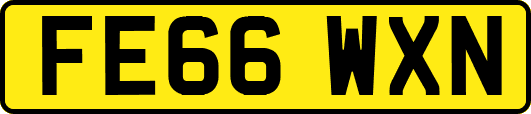 FE66WXN