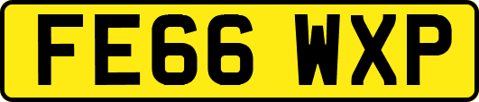 FE66WXP