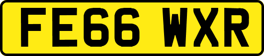 FE66WXR