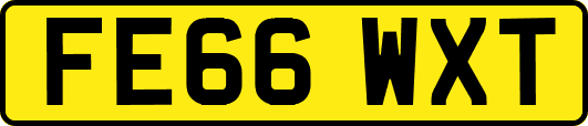 FE66WXT