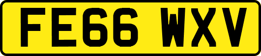 FE66WXV