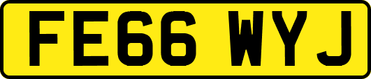 FE66WYJ
