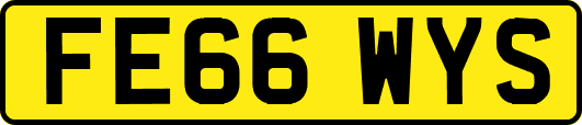 FE66WYS
