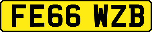 FE66WZB