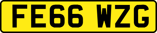 FE66WZG