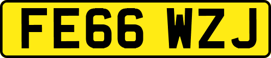 FE66WZJ