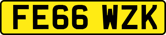 FE66WZK