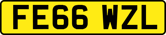 FE66WZL