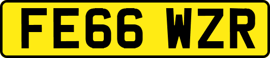 FE66WZR