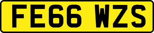 FE66WZS