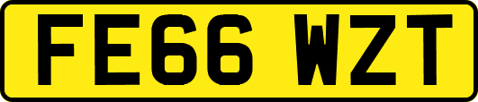 FE66WZT