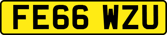 FE66WZU